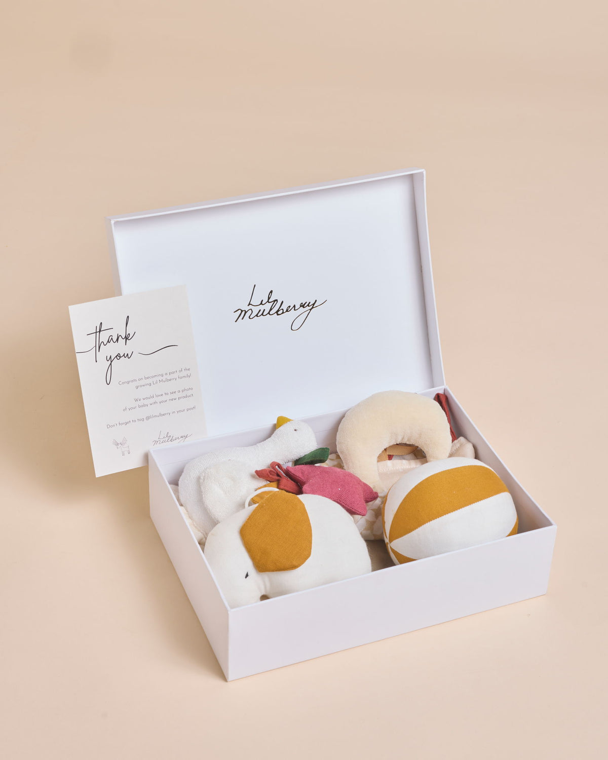 Playtime Muslin Gift Set