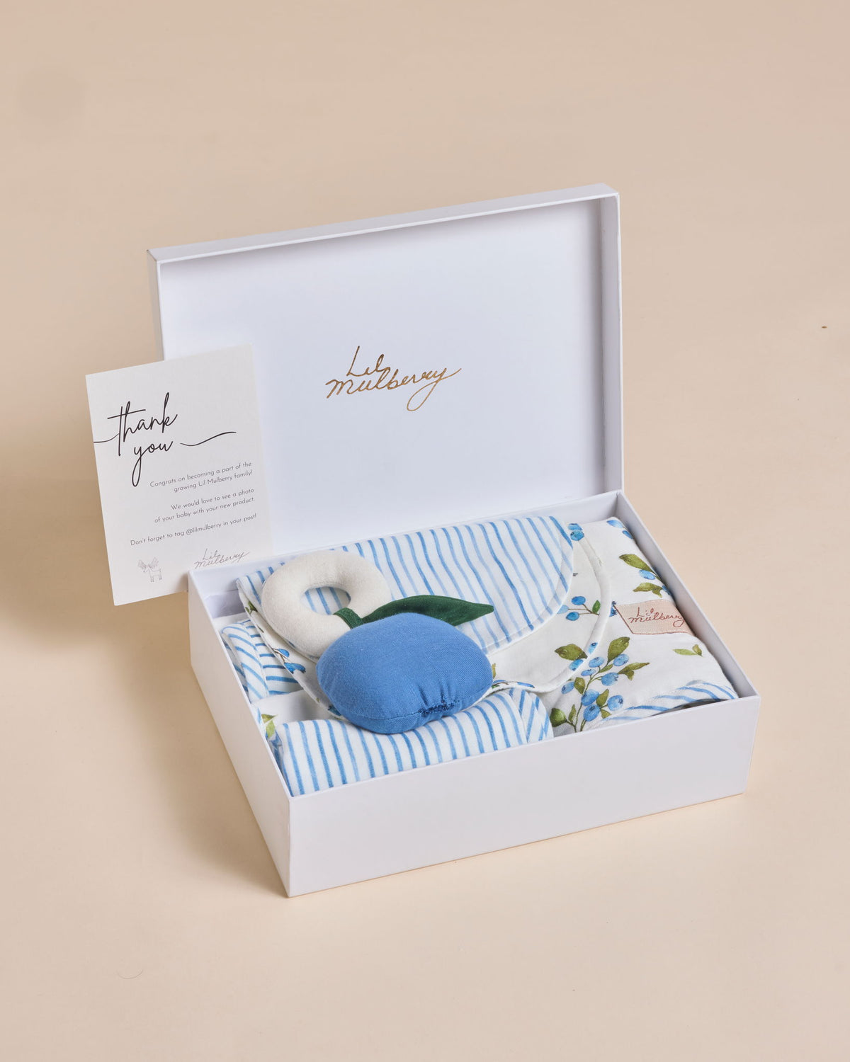 Blueberry & Bird Meal Time Set